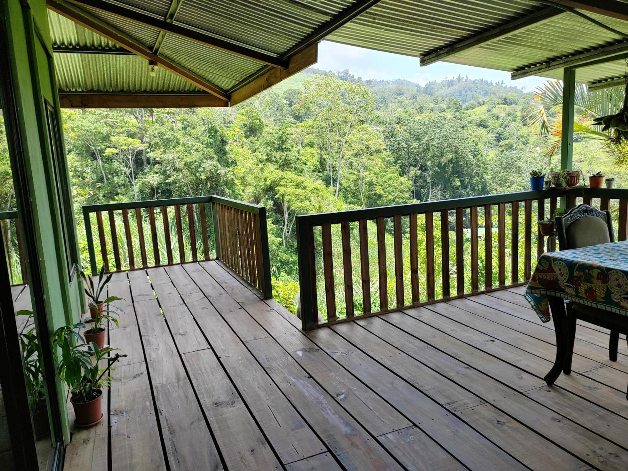Bella Vista Guest House Turrialba Exteriér fotografie