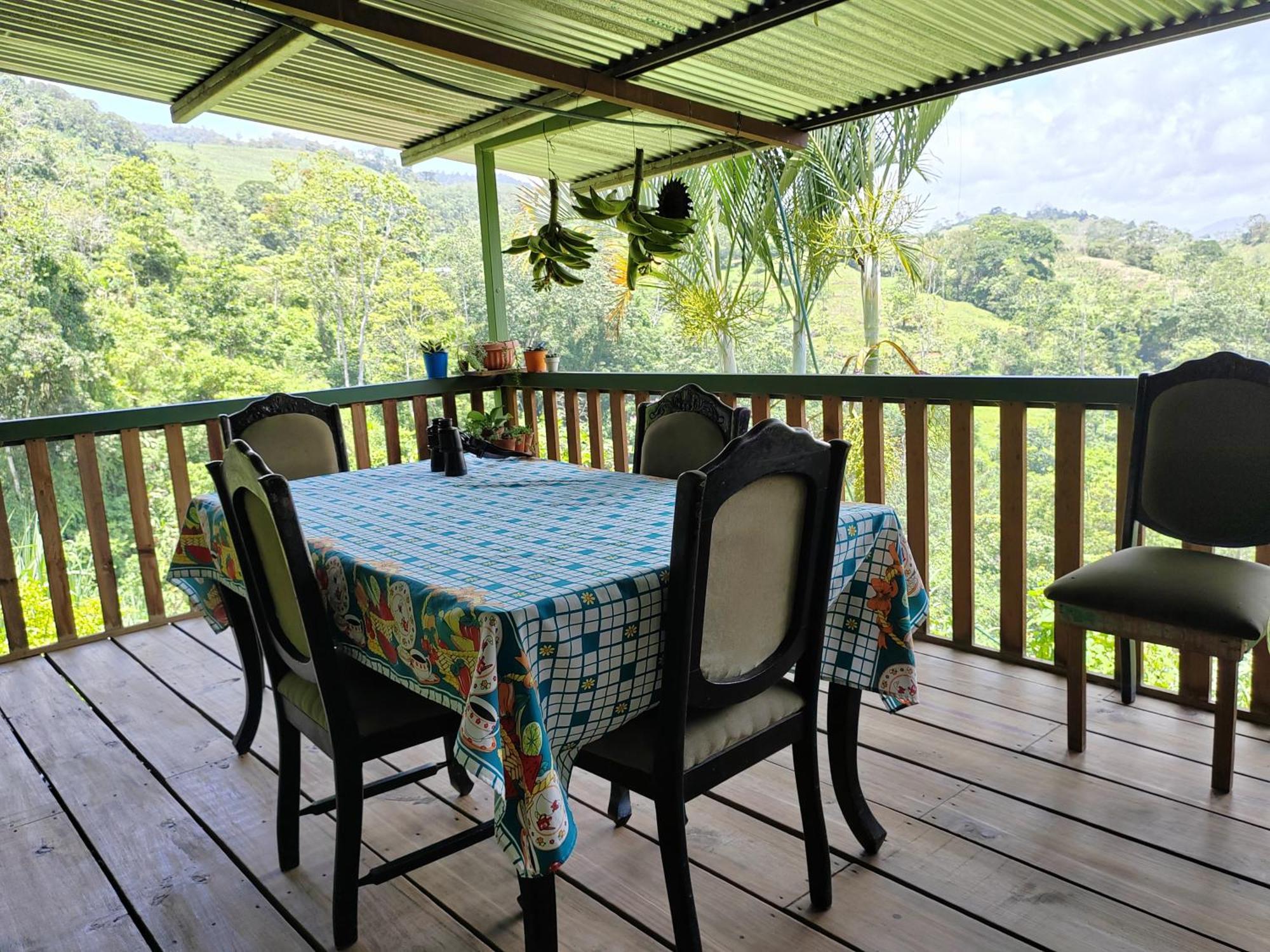 Bella Vista Guest House Turrialba Exteriér fotografie